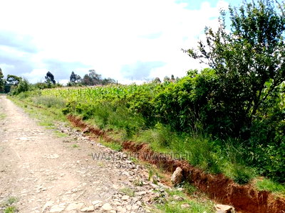 Very Prime Plots in Kasuku Town - Image 3