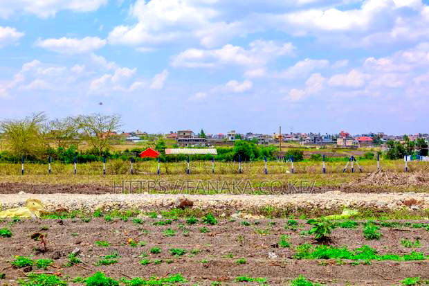 Ready-to-Build Plots in Syokimau-Katani