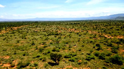 Prime 1 Acre Ewuaso Kedong Town Touching Tarmac - Image 2