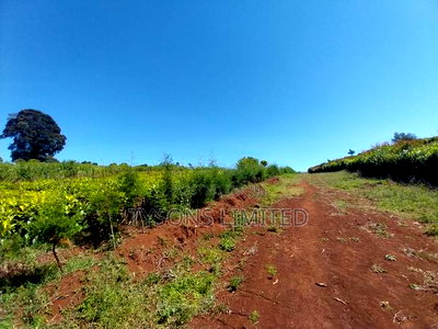Prime Land for Sale in Tigoni - Image 3