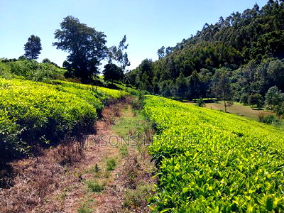 Prime Land for Sale in Tigoni - Image 6