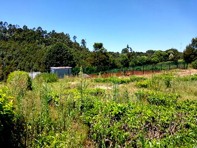 Prime Land for Sale in Tigoni - Image 10