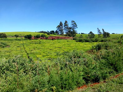 Prime Land for Sale in Tigoni - Image 2