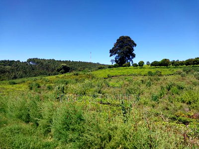 Prime Land for Sale in Tigoni - Image 1