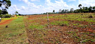 Prime 1/4 Plot for Sale Marura Sololo in Eldoret - Image 5