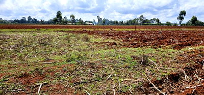 Prime 1/4 Plot for Sale Marura Sololo in Eldoret - Image 2