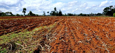 Prime 1/4 Plot for Sale Marura Sololo in Eldoret - Image 1