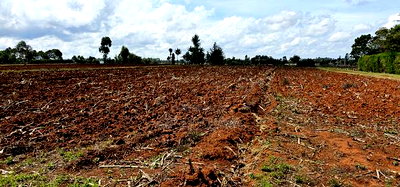 Prime 1/4 Plot for Sale Marura Sololo in Eldoret - Image 4