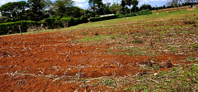 Prime 1/4 Plot for Sale Marura Sololo in Eldoret - Image 3