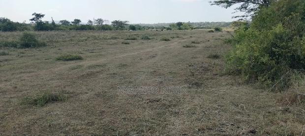 Dier Aora Bondo Farm