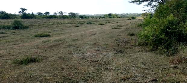 Dier Aora Bondo Farm