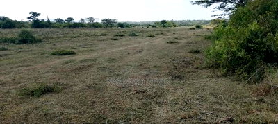 Dier Aora Bondo Farm - Image 3