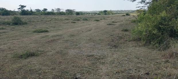 Dier Aora Bondo Farm