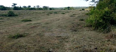 Dier Aora Bondo Farm - Image 6