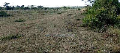 Dier Aora Bondo Farm - Image 2