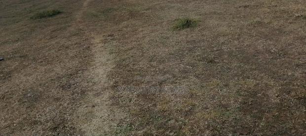 Dier Aora Bondo Farm