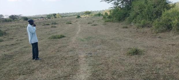 Dier Aora Bondo Farm