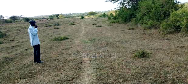 Dier Aora Bondo Farm