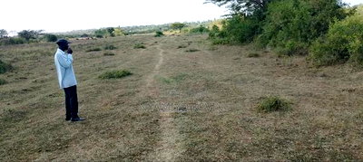 Dier Aora Bondo Farm - Image 4