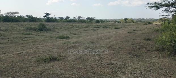 Dier Aora Bondo Farm