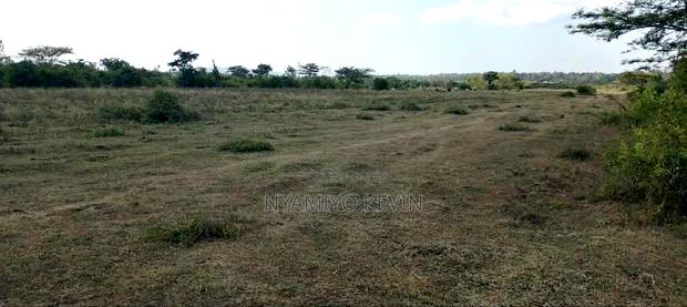 Dier Aora Bondo Farm