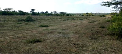 Dier Aora Bondo Farm - Image 1