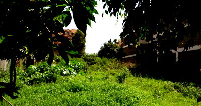 0.38 Acre Westlands Plot for Sale