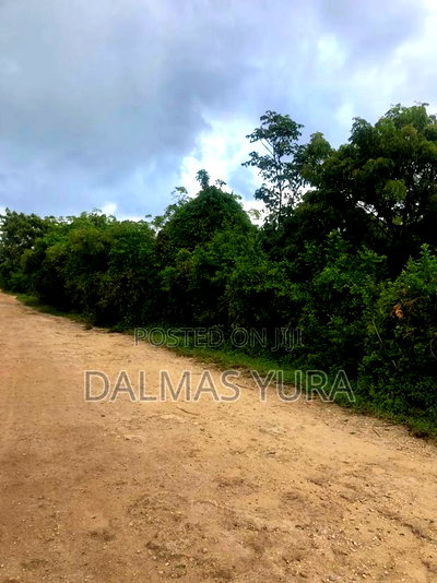 12 Acres of Land at Jacaranda in Watamu - Image 5