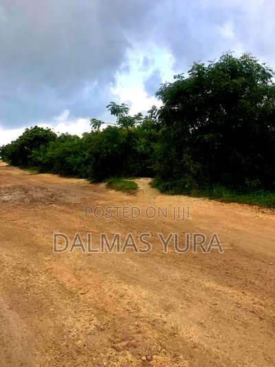 12 Acres of Land at Jacaranda in Watamu - Image 2