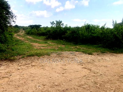 12 Acres of Land at Jacaranda in Watamu - Image 4