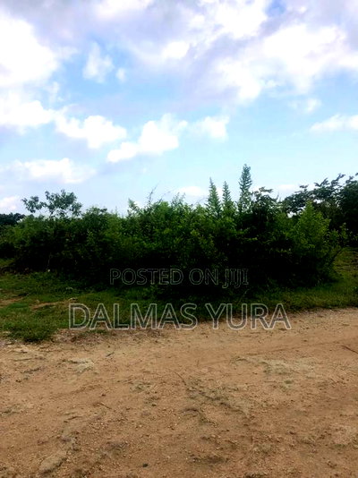 12 Acres of Land at Jacaranda in Watamu - Image 3