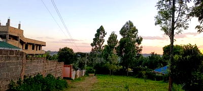 Kikuyu Plots for Sale(Muguga Thamanda) - Image 4