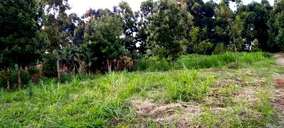 Kikuyu Plots for Sale(Muguga Thamanda) - Image 7
