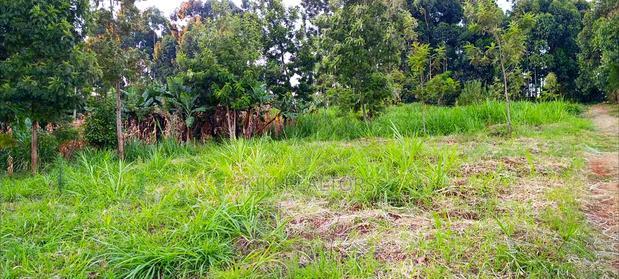 Kikuyu Plots for Sale(Muguga Thamanda)