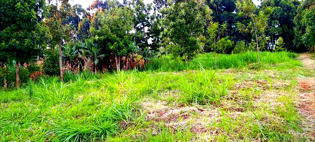 Kikuyu Plots for Sale(Muguga Thamanda)