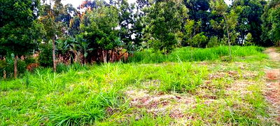 Kikuyu Plots for Sale(Muguga Thamanda) - Image 2