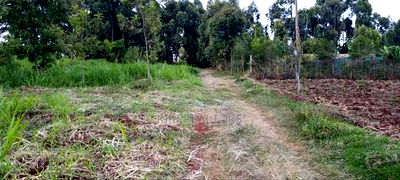 Kikuyu Plots for Sale(Muguga Thamanda) - Image 6
