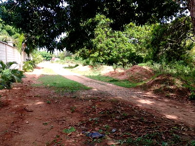 5 Acres Corner Plot in Mabriver, Tiwi- Kombani - Image 6