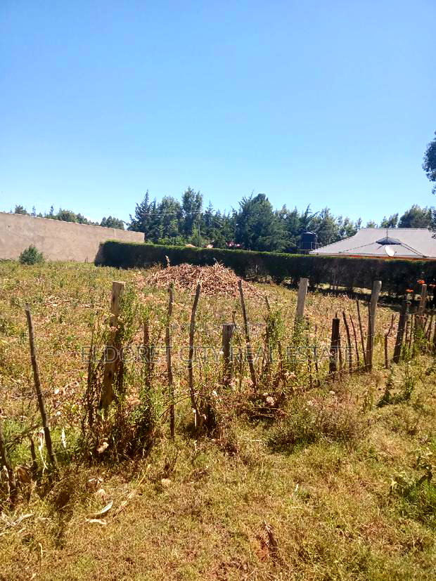 1/4 Plot With Title Kapseret