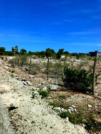 Prime 1/8th Acre Plots for Sale in Kilifi Bofa 600m to Ocean - Image 5
