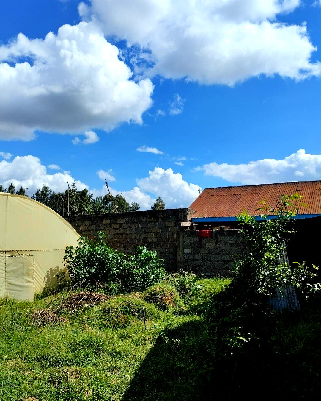 1/8 Acre Kahawa Gem at KSh 12.5M