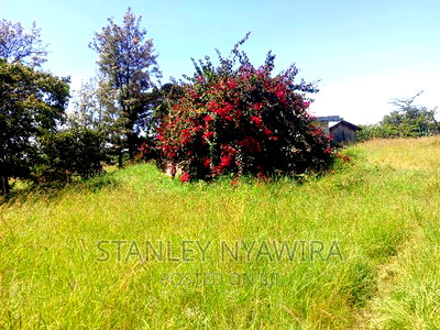 4 Acreas WTH 5bedroom Permanent House for Sales - Image 3