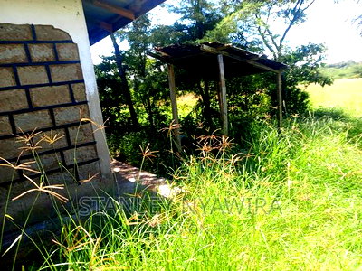 4 Acreas WTH 5bedroom Permanent House for Sales - Image 13