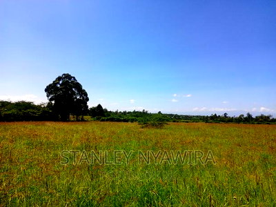 4 Acreas WTH 5bedroom Permanent House for Sales - Image 5