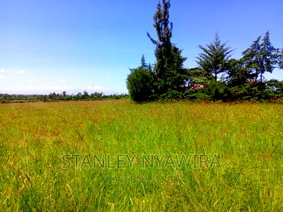 4 Acreas WTH 5bedroom Permanent House for Sales - Image 8