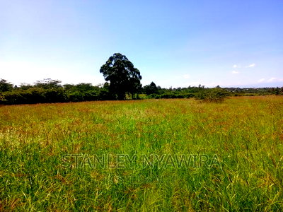 4 Acreas WTH 5bedroom Permanent House for Sales - Image 6