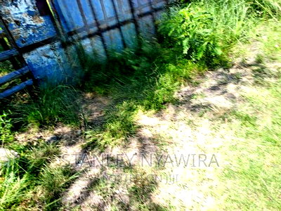 4 Acreas WTH 5bedroom Permanent House for Sales - Image 4