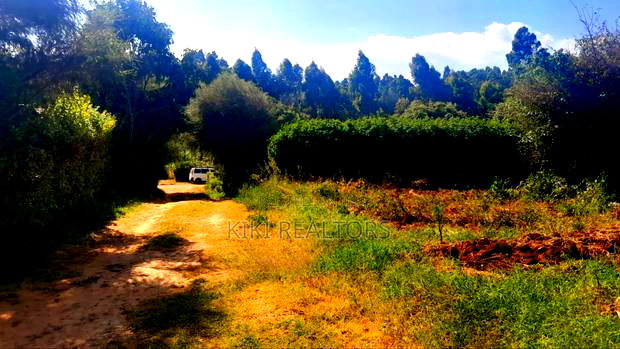 Kikuyu Prime Plots for Sale