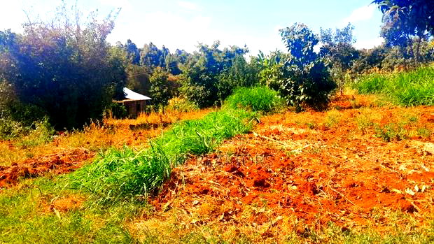 Kikuyu Prime Plots for Sale