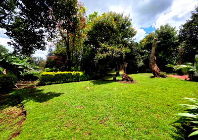 1 Acre Plot at KSh 200M